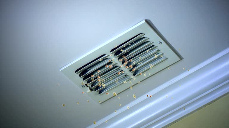 Home Air Vent Cleaning in Williamsburg, IA